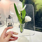 🖼️ 50% RABATT NÅ 💐🏺 Nordisk stil elegant Ins ramme & vase i ett 🌷