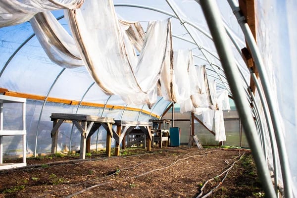 🎁 2026 Nya Ankomster 50% rabatt💥Heavy-duty shade cloth clips – UV-behandlade, hållbara & lätta att installera – perfekt för trädgård, växthus och utomhusbruk 🌿