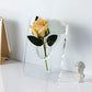 🖼️ 50% RABATT NÅ 💐🏺 Nordisk stil elegant Ins ramme & vase i ett 🌷