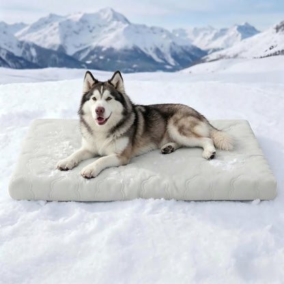 🐾 BEGRENSET TID 50% RABATT! ❄️ Øyeblikkelig Kjølende Kjæledyrmatte – Ripesikker, Ikke-Giftig, Enkel Rengjøring 🐶
