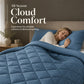 🔥Time-Limited Special💥 3-Piece Quilted Comforter Set – Soft Microfibre Duvet with Pillowcases ❄️
